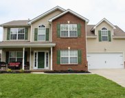 3216 Red Meadow Rd, Knoxville image
