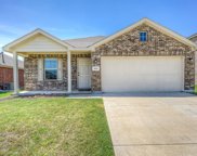 1601 Fields View  Drive, Anna image