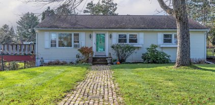 9 Mountain View Road, Jericho
