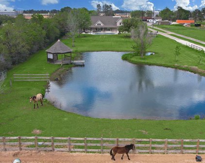 13845 Boudreaux Road Unit A, Tomball