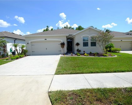 1060 Manzanar Place, Wesley Chapel