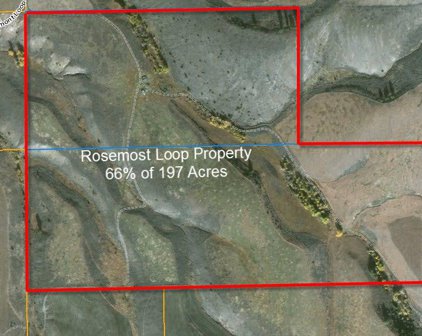 Nhn Rosemont Loop, Stevensville