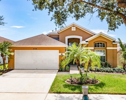 6728 Cambridge Park Drive, Apollo Beach