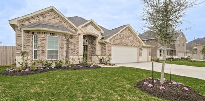 11727 Champions Forest Drive, Mont Belvieu