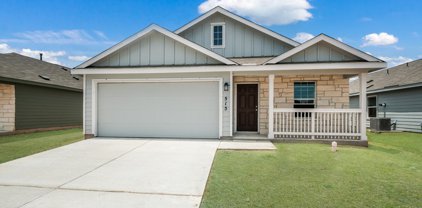 422 Fairy Duster Dr, New Braunfels