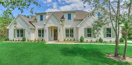 11709 Grand North Road, Willis