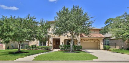 25015 Amber Mills Drive, Spring