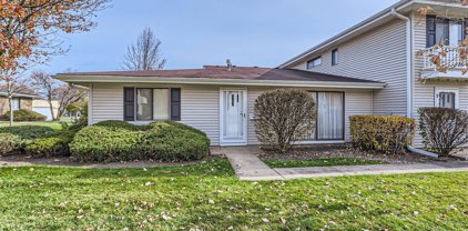 1418 Ellisville Lane Unit #1418, Schaumburg