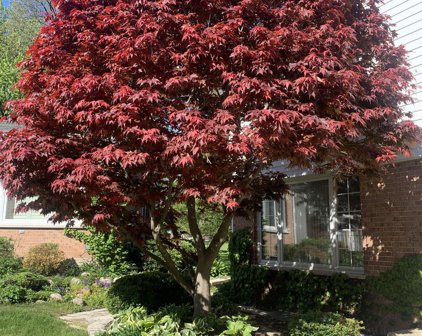 22 N Regency Drive, Arlington Heights