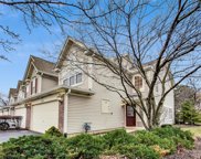 3303 Cool Springs Court, Naperville image