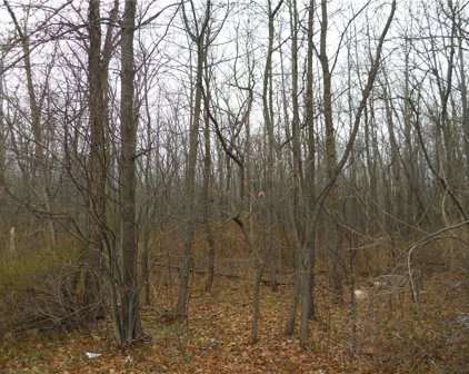 000 Schlegel  Road, Webster-265489