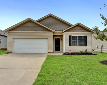 519 Craftsman, Boiling Springs