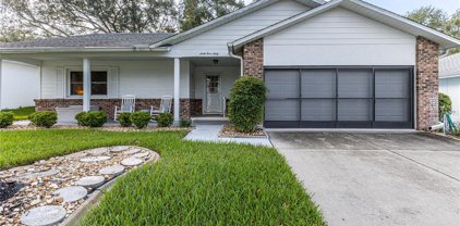 6460 Pine Meadows Drive, Spring Hill