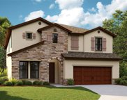 14839 Paddock Pond Avenue, Lithia image