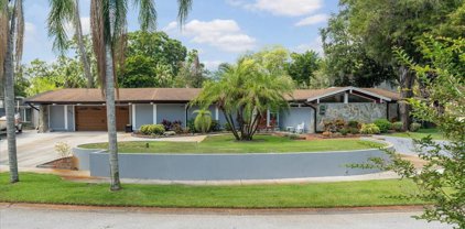 3412 Lacewood Road, Tampa