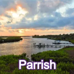 Parrish Florida Homes for Sale