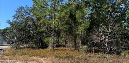 Norvell Road, Spring Hill