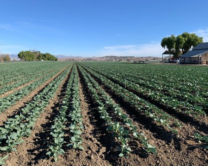 Flint RD, San Juan Bautista