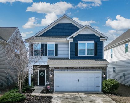 1929 Burning Acres  Court, Fort Mill