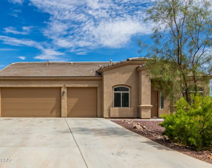 13214 W Finger Aloe, Marana
