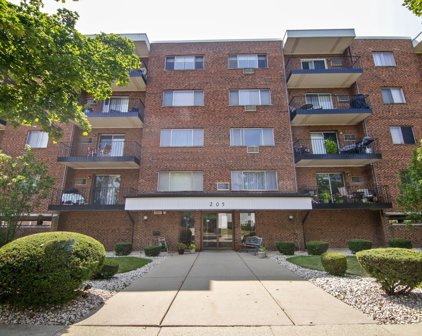 205 W Miner Street Unit #304, Arlington Heights