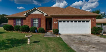 205 Maltese Court, Huntsville