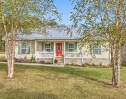 104 Wisteria Cir, Bell Buckle image