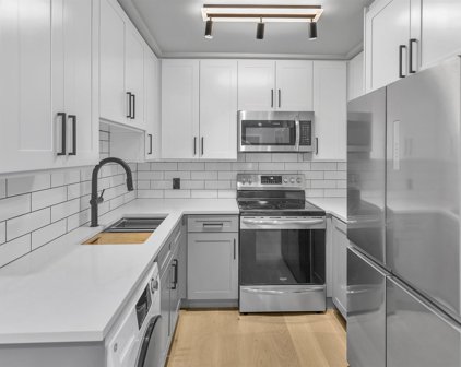 1948 Coquitlam Avenue Unit 201, Port Coquitlam