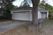 1618 Mosaic Forest Drive, Seffner image