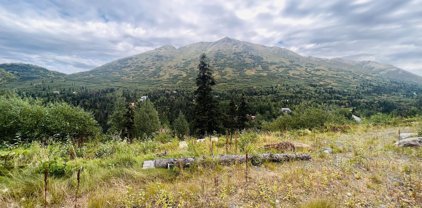 4221 Birdsong Drive, Eagle River