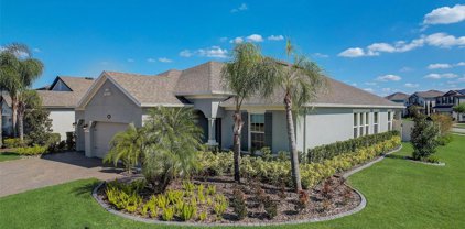 18922 Roseate Drive, Lutz