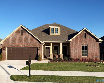 15716 Big Ben Drive Nw, Harvest