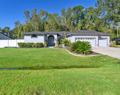 3711 Redwood Drive, Land O' Lakes