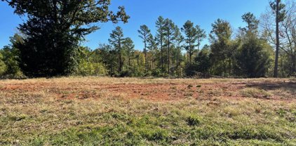 CR 2123 (lot 199), Whitehouse
