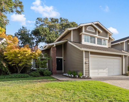 1001 Whitehall Lane, Redwood City
