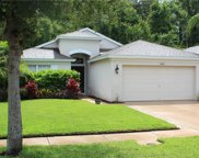 5012 Culpepper Place, Wesley Chapel image