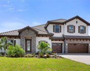 14288 Swiss Bridge Drive, Riverview image