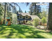 25305 NE BERLIN RD, Battle Ground image