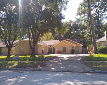 15603 Lago Villa Drive, Tomball