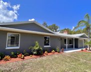 2716 Kumquat Drive, Edgewater image