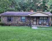 3219 Delia Lane Nw, Huntsville image