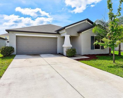 14146 Covert Green Place, Riverview