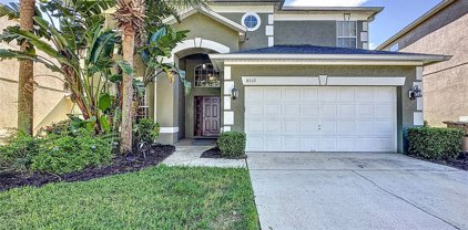 8512 Palm Harbour Drive, Kissimmee