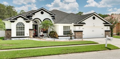27602 Sora Boulevard, Wesley Chapel