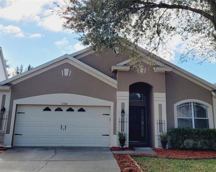 17304 Blooming Fields Drive, Land O' Lakes