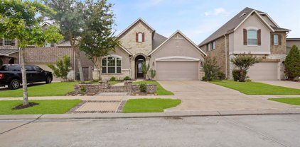 16735 Doubletree Ranch Drive, Cypress