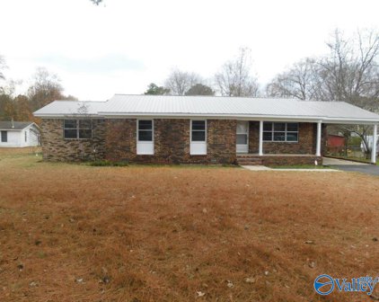 1232 Bethsaida Road, Boaz
