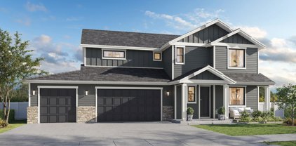 4458 Corsac Fox, Post Falls
