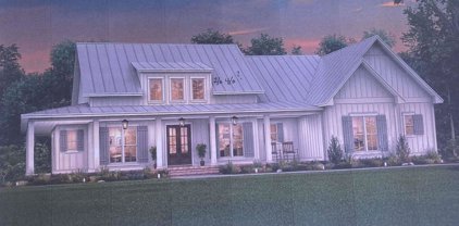 4011 Kindness, Alexander