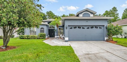 1502 Clearglades Drive, Wesley Chapel